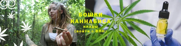 каннабис Новодвинск