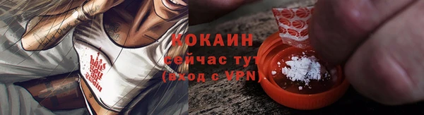 apvp Новозыбков