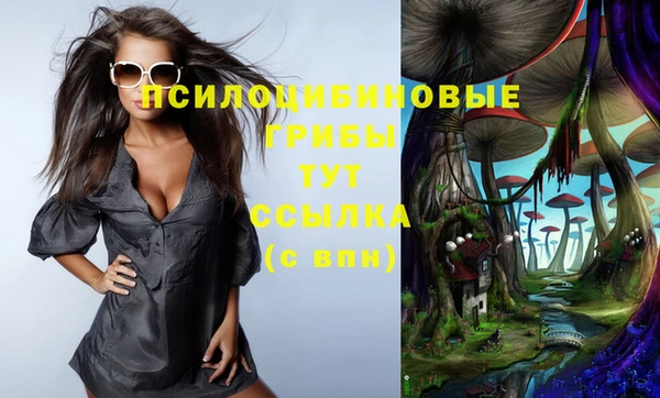 тгк Нязепетровск
