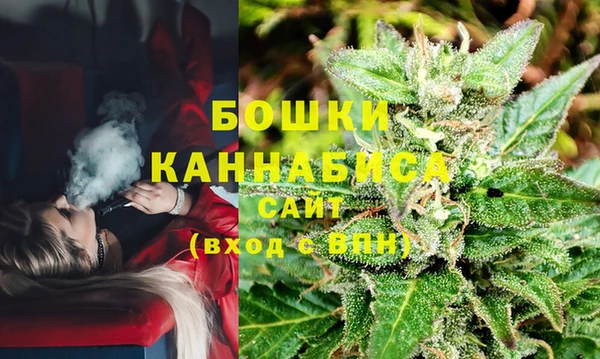 apvp Новозыбков