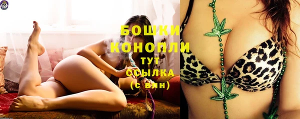 apvp Новозыбков